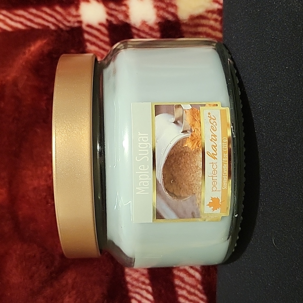 single wick perfect harvest candle